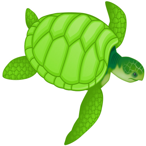 초록색 sea turtle