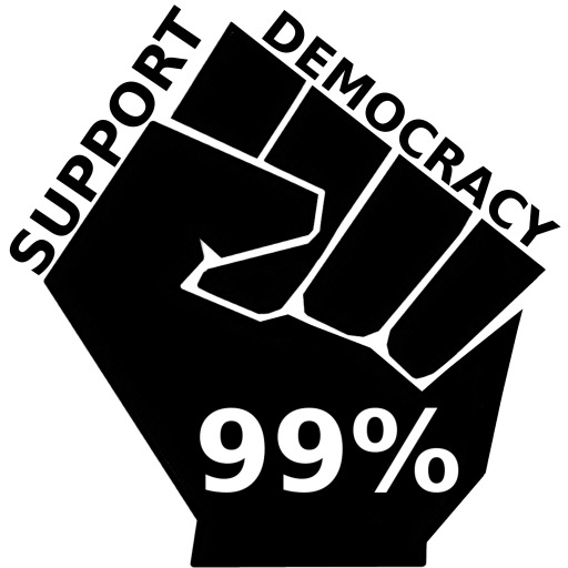 occupy support democracy