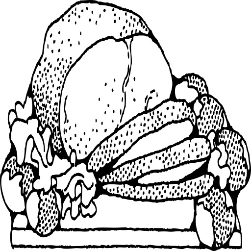 roast 있는 potatoes