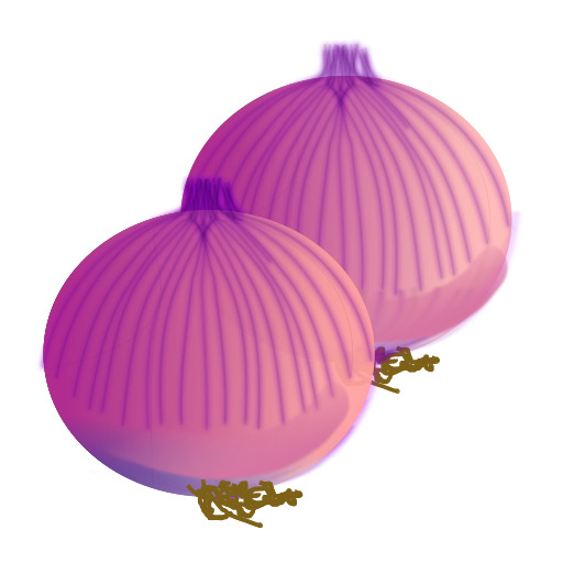 Onion 벡터 일러스트레이션