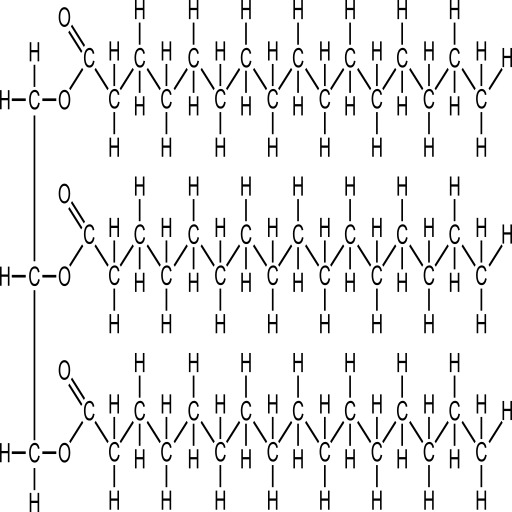 Structural Structure 의 A Molecule