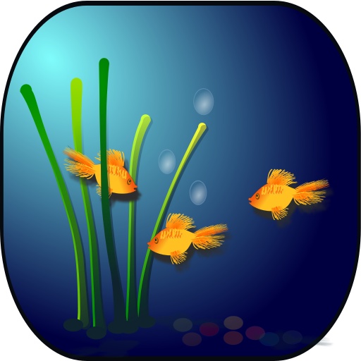 aquarium 안의 gold물고기