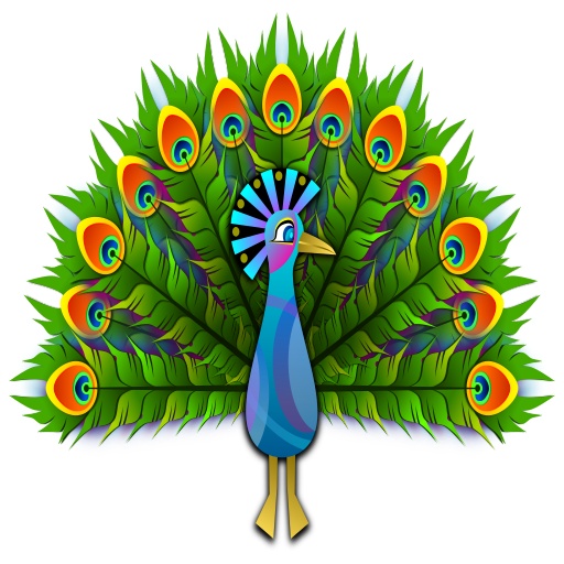 흰색 배경의 peacock 2
