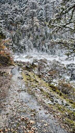 A Stream Running Through A Forest Covered In Snow
