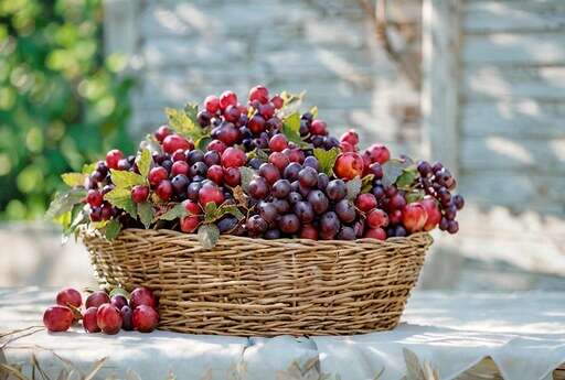 a basket full of grapes sitting on a table