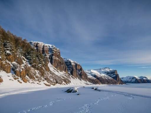 frozen winter cliffside shores