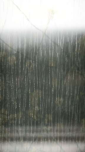 rainy window with raindrops on glass