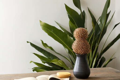 A Black Vase With A Plant In It Sitting On A Table Next To An Open Book And A Macaroni