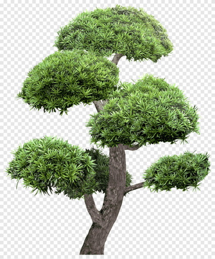 Tree Garden Landscape Greening Umbrella Green Leaf Branch