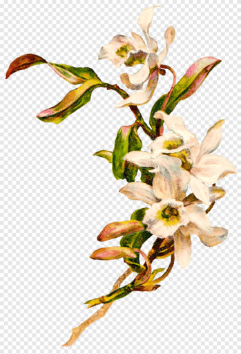 White Petaled Flowers Flower Art Nouveau Deco Victorian