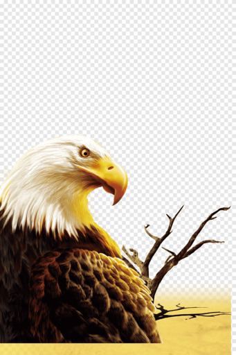 Iphone 6S Zouping County Defence Day Light Eagle