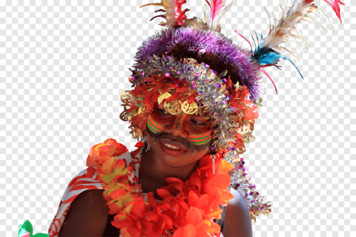 Vanuatu Travel Culture Tradition Life Carnival